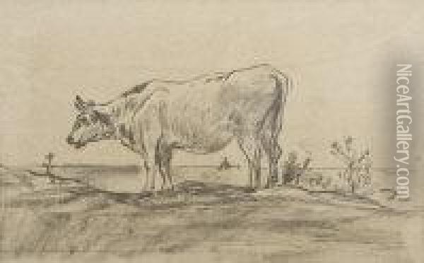 Cow Standing In A Landscape Oil Painting - Charles-Francois Daubigny