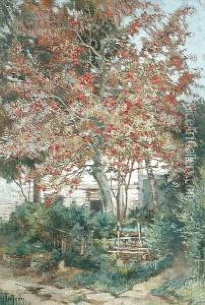 The Flowering Tree Oil Painting - Theodore Hannon