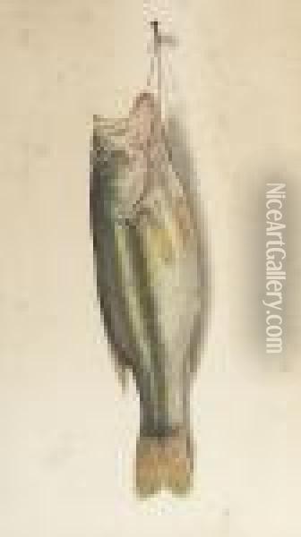 Nature Morte Of A Bass Oil Painting - George Louis Viavant