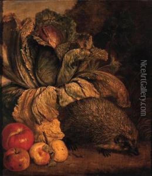 A Hedgehog, A Cabbage And Apples At The Foot Of A Tree Oil Painting - Philipp Sauerland