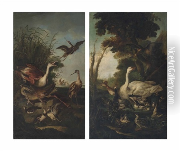 Flamingos, Lapwings And Other Waterfowl On The Bank Of A Lake; A Swan, Mallard Ducks With Ducklings, A Grebe And Other Waterfowl On A Pond In A Wooded Landscape Oil Painting - Giovanni (Crivellino) Crivelli