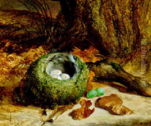 The Bird's Nest Oil Painting - Abel Hold