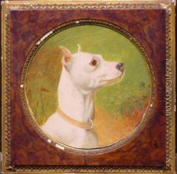 White English Terrier Head Study Oil Painting - George Earl