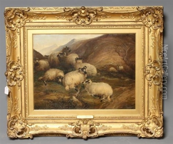 On The Hills, Sheep Reposing Oil Painting - Thomas Sidney Cooper