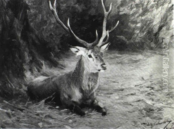 Deer In A Landscape Oil Painting - Wilhelm Friedrich Kuhnert