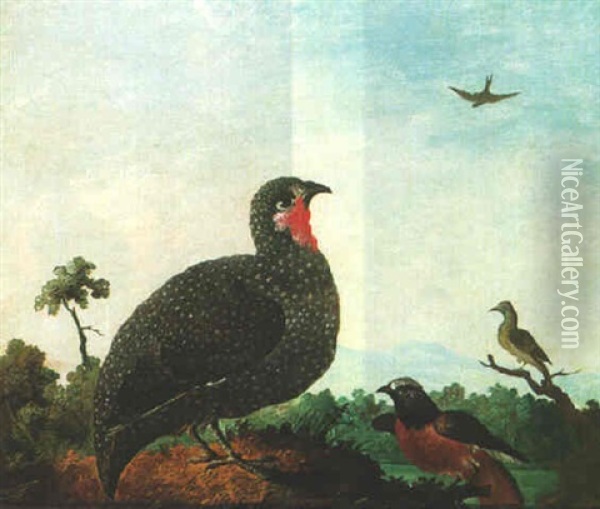 An Assembly Of Birds In A Landscape Oil Painting - Peter Paillou
