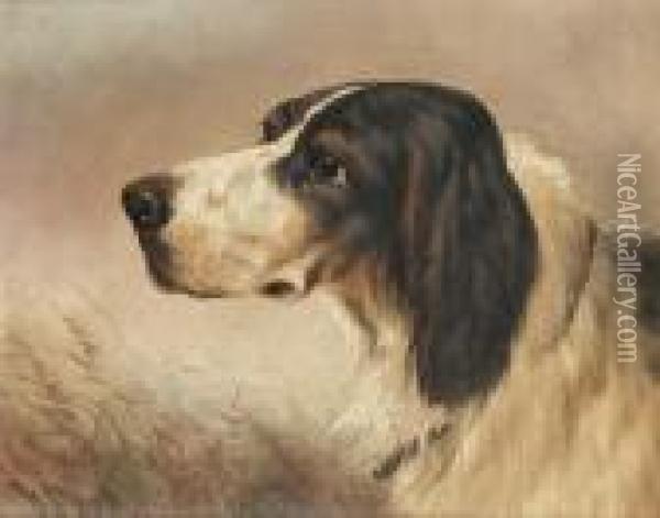 Cocker Spaniel; Gordon Setter Oil Painting - William Perring Hollyer