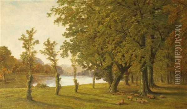 Woodland Scene, With Sheep Resting In The Shade By A River Oil Painting - Octavius Thomas Clark