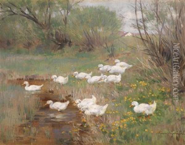 Ducks On A Spring Stream Oil Painting - Franz Grassel