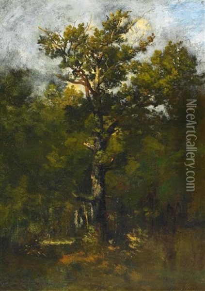Waldlandschaft Oil Painting - Leon Richet