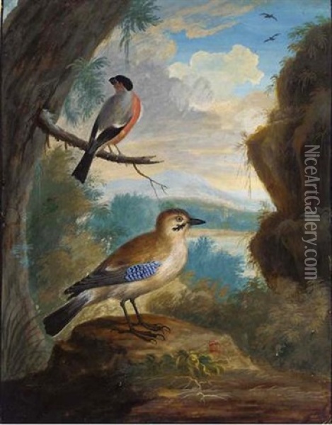 A Jay And A Bullfinch On A Branch In A Landscape Oil Painting - J. F. Hefele