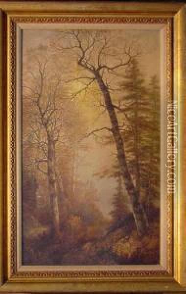 Birches In A Glen Oil Painting - Thomas Lochlan Smith