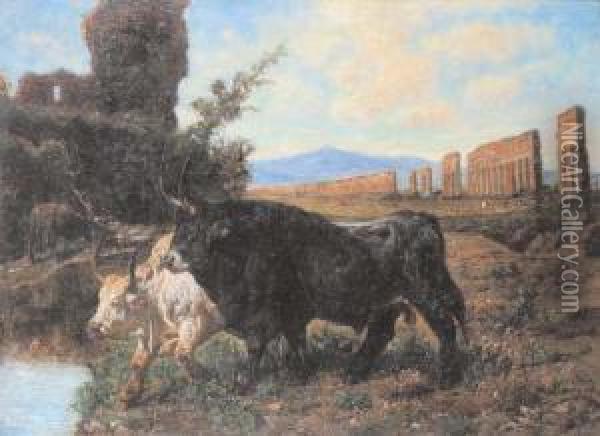Bufali Nella Campagna Romana Oil Painting - Valerio Laccetti