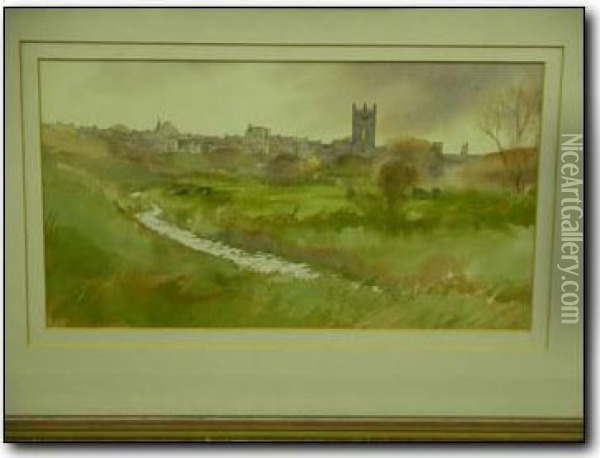 Haverfordwest From Thecommon Oil Painting - David Hess