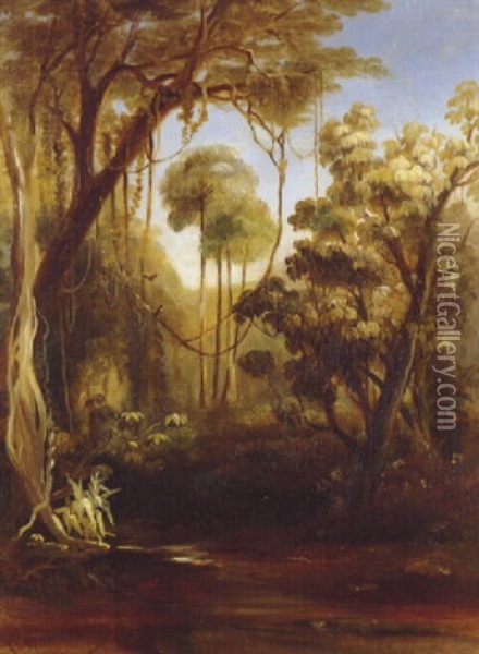 Forest Scene, Illawara Oil Painting - Conrad Martens