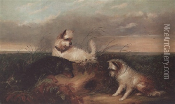 Spaniels Flushing Out A Pheasant Oil Painting - J. Langlois