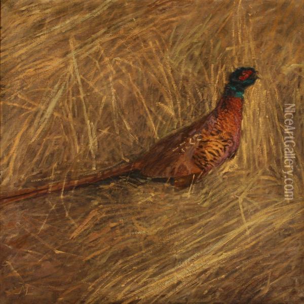 A Male Pheasant On A Field Oil Painting - Christian Juel Madsen