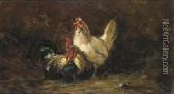Study Of A Cockerel And Hen Oil Painting - Charles Jacques