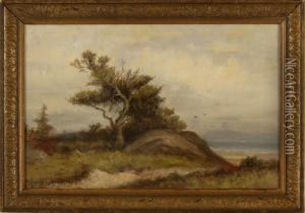 A Bit Of New England Shore Oil Painting - William Ferdinand Macy