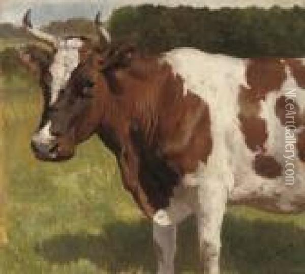A Cow In Pasture Oil Painting - Otto Bache