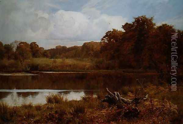 A Silent Pool: Autumn, Abinger Mill Pond, Surrey Oil Painting - Edward Wilkins Waite