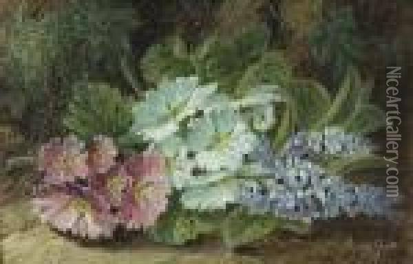 Primula On A Mossy Bank Oil Painting - Oliver Clare