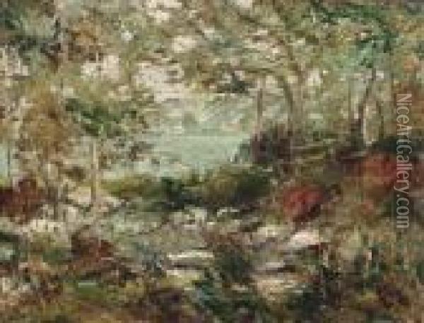 Trees And Rocks Oil Painting - Ernest Lawson