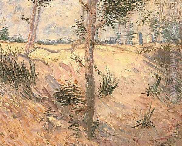 Trees In A Field On A Sunny Day Oil Painting - Vincent Van Gogh