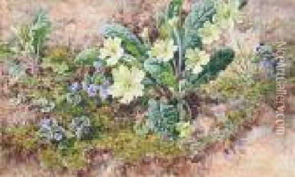 Primroses On A Mossy Bank Oil Painting - Helen Cordelia Coleman Angell