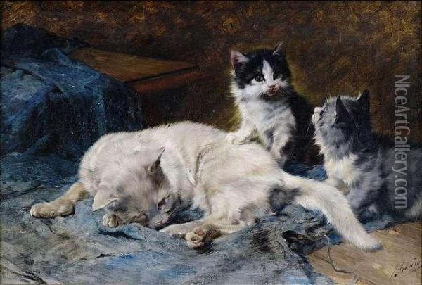 Mother Cat With Two Kittens Oil Painting - Julius Adam