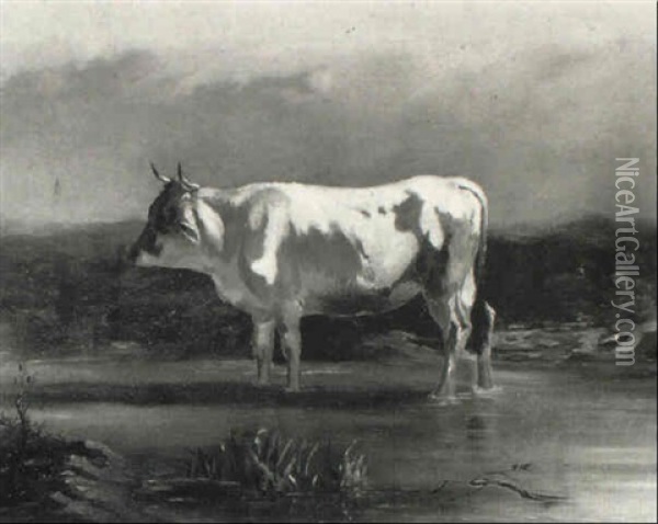 Bull Standing In A Stream Oil Painting - Hendrik Savry
