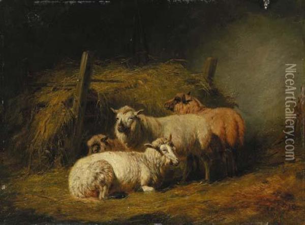 Sheep In Shed Oil Painting - Arthur Fitzwilliam Tait