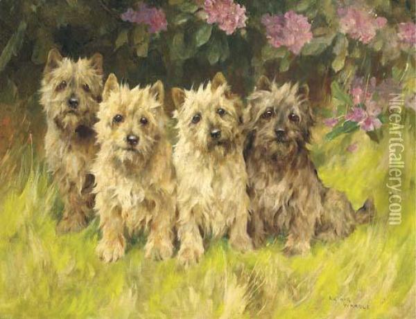 Cairn Terriers By A Rhododendron Bush Oil Painting - Arthur Wardle