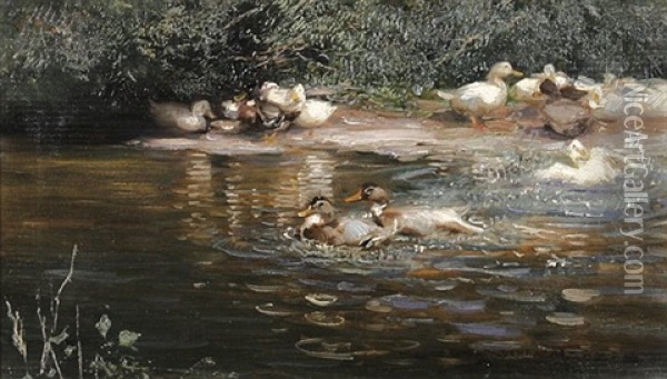Enten Am Teich Oil Painting - Max Rudolf Schramm-Zittau
