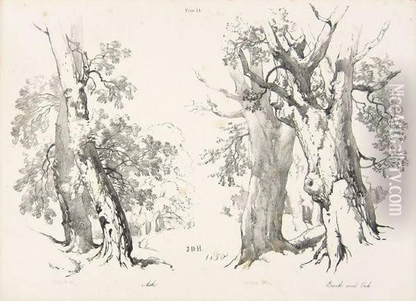 Artists' Manuals.- Lessons On Trees Oil Painting - James Duffield Harding