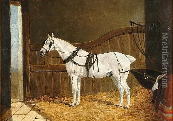A White Cob In A Stable Oil Painting - John Frederick Herring Snr