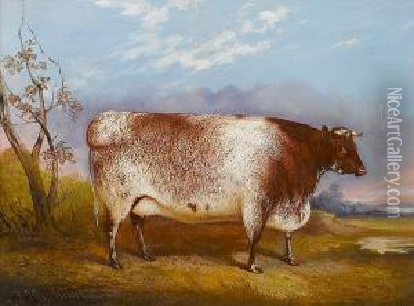 A Short-horned Cow In A Landscape Oil Painting - John Vine Of Colchester