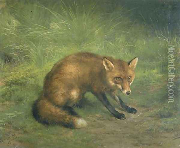 Study of a Fox Oil Painting - Rosa Bonheur