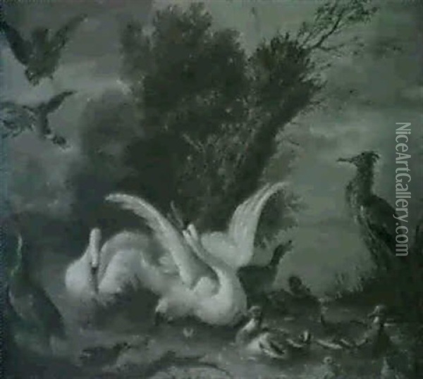 Schwane, Enten Und Reiher Am Wasser, Von Einem Raubvogel    Angegriffen Oil Painting - Adriaen de Gryef