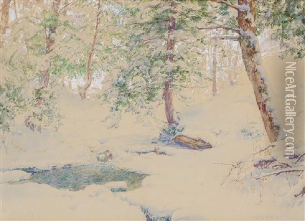 Ravine At Arkville, New York Oil Painting - Walter Launt Palmer
