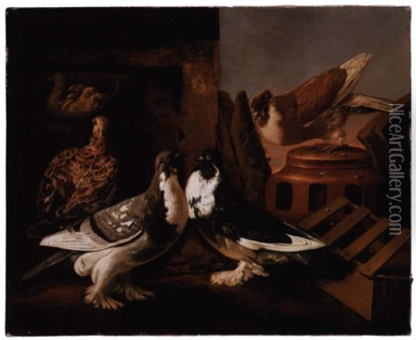 Still Life Of Two Courting Doves, A Partridge And Her Chicks, And A Further Dove Beyond Perched On A Jar Oil Painting - Giacomo (Jacobus) Victors