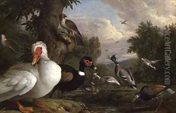 Variety of Ducks by a Pool Oil Painting - Giovanni Boggi