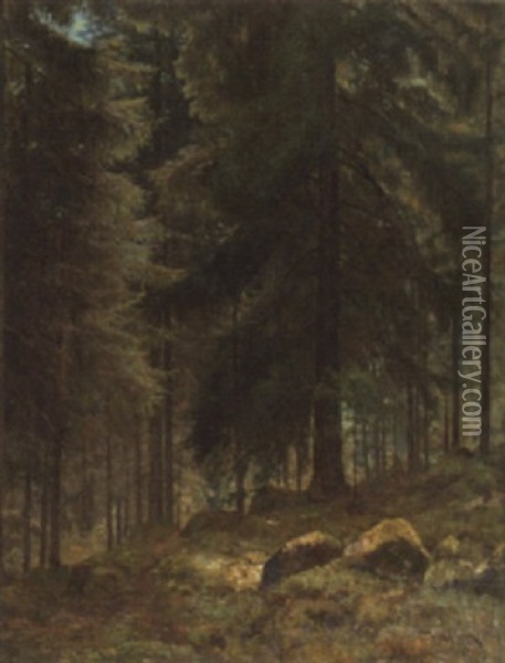 Sonnendurchfluteter Nadelwald Oil Painting - Vilhelm Emanuel Behm