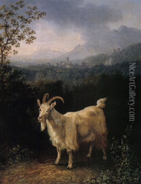 Ziege In Bergiger Landschaft Oil Painting - Jacob Philipp Hackert