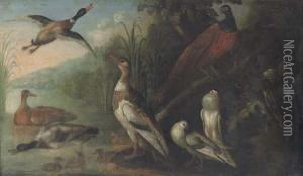 A Pheasant, Pigeons, Ducks And Ducklings In A River Landscape Oil Painting - Marmaduke Cradock