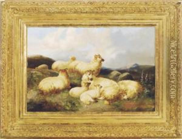 Sheep In A Moorland Landscape Oil Painting - James Charles Morris