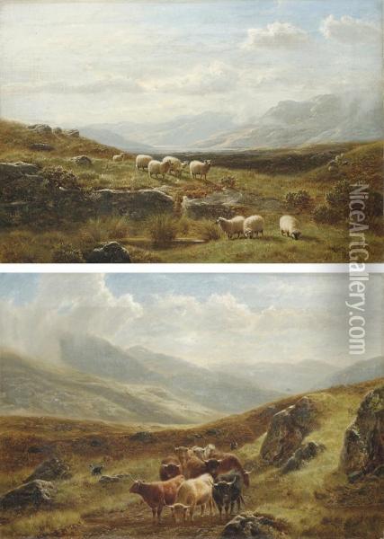 Sheep Grazing In A Highland Landscape; And Cattle Watering In Ahighland Landscape Oil Painting - William Davies