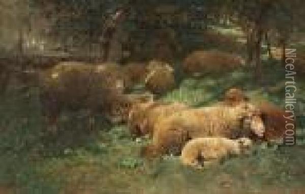 Ruhende Schafe Am Waldrand Oil Painting - Heinrich Johann Von Zugel