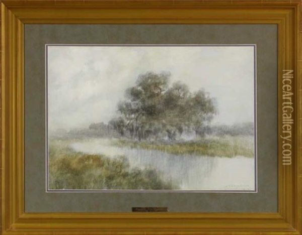 Louisiana Live Oak On The Bayou Oil Painting - Alexander John Drysdale