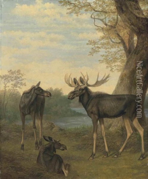 Elk In A River Landscape Oil Painting - Jacques-Laurent Agasse